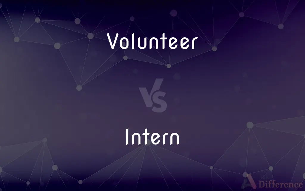 About Us